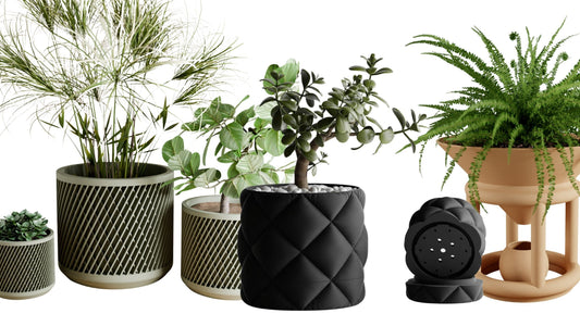 🪴 Planter Pairing Guide: Match Your Plants with the Perfect Pots