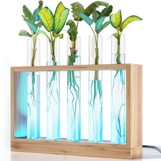 LED Bamboo Hydroponic Vase Display - 4 Glass Vases