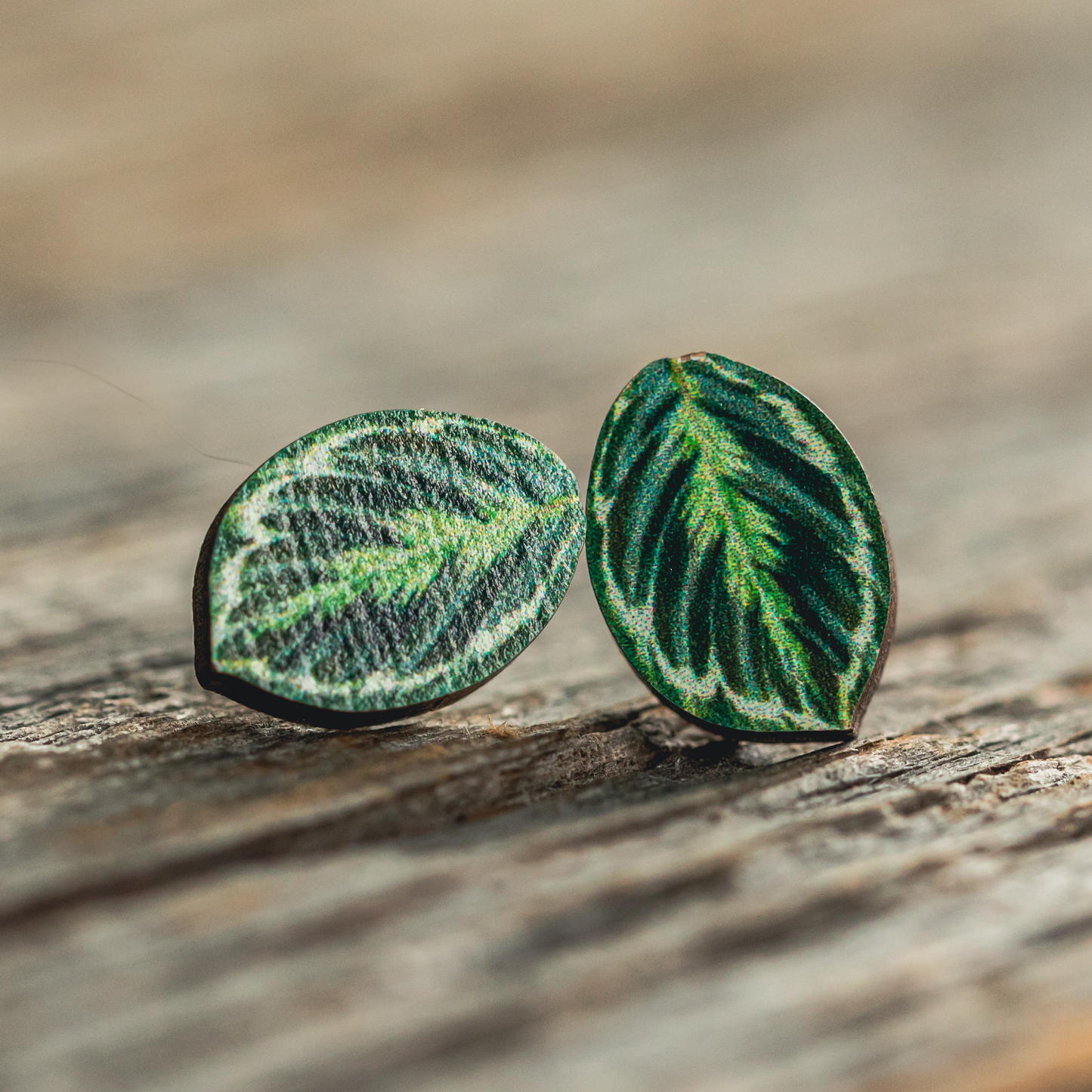 Medallion Prayer Plant Stud Earrings