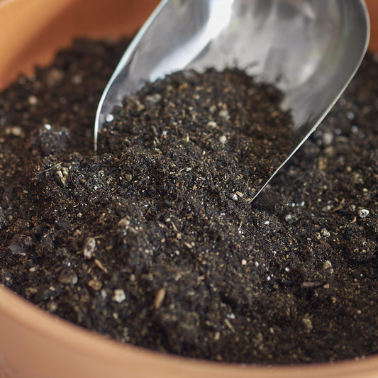 Premium Chunky Soil Mix