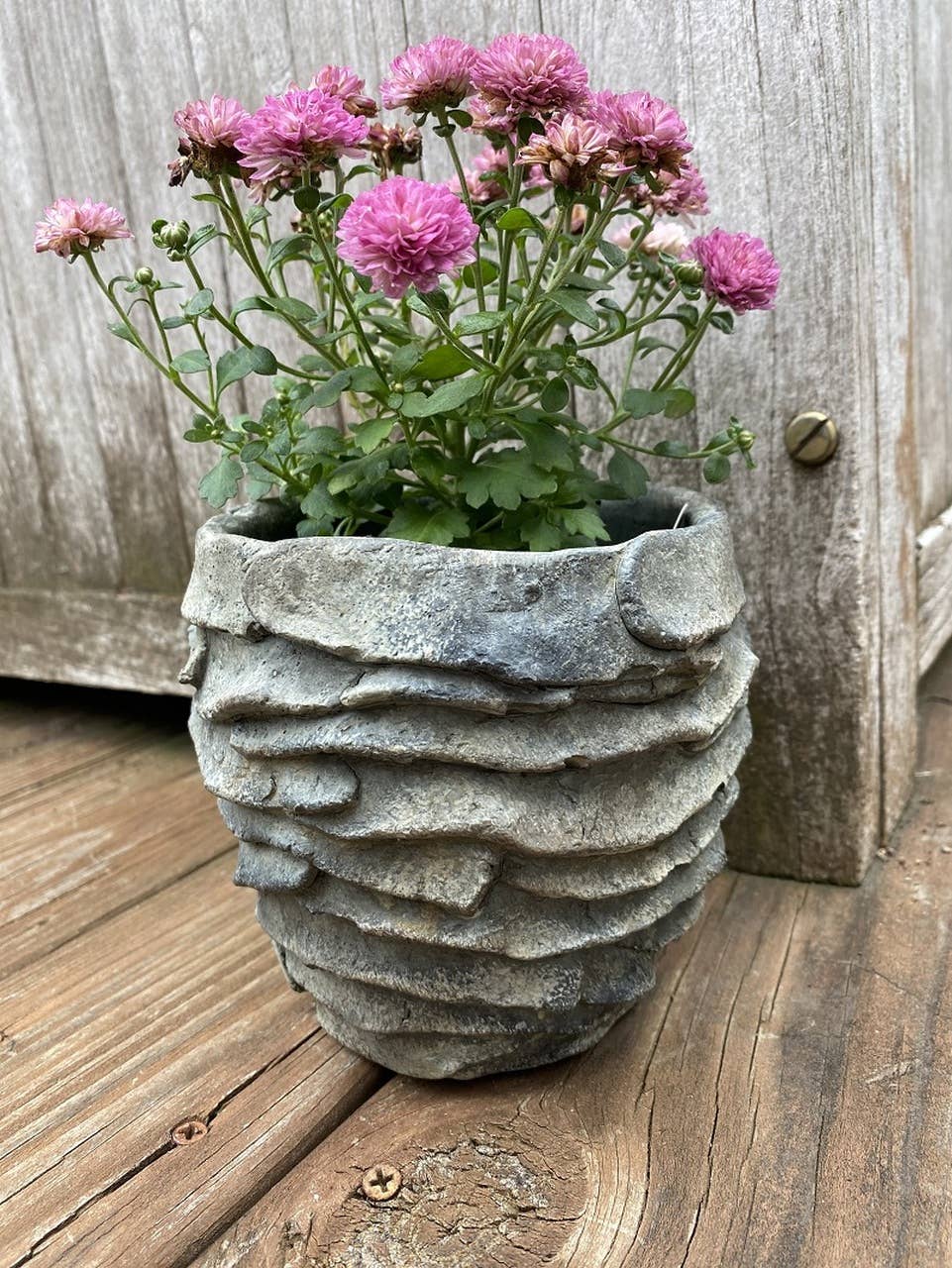 7" Cement Palm Planter