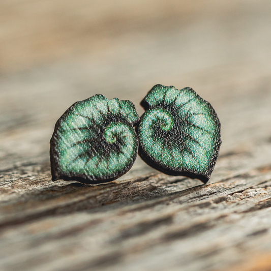 Escargot Begonia Stud Earrings