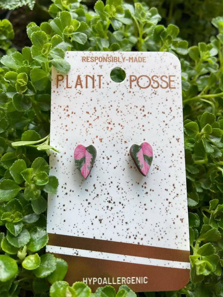 Pink Princess Stud Earrings
