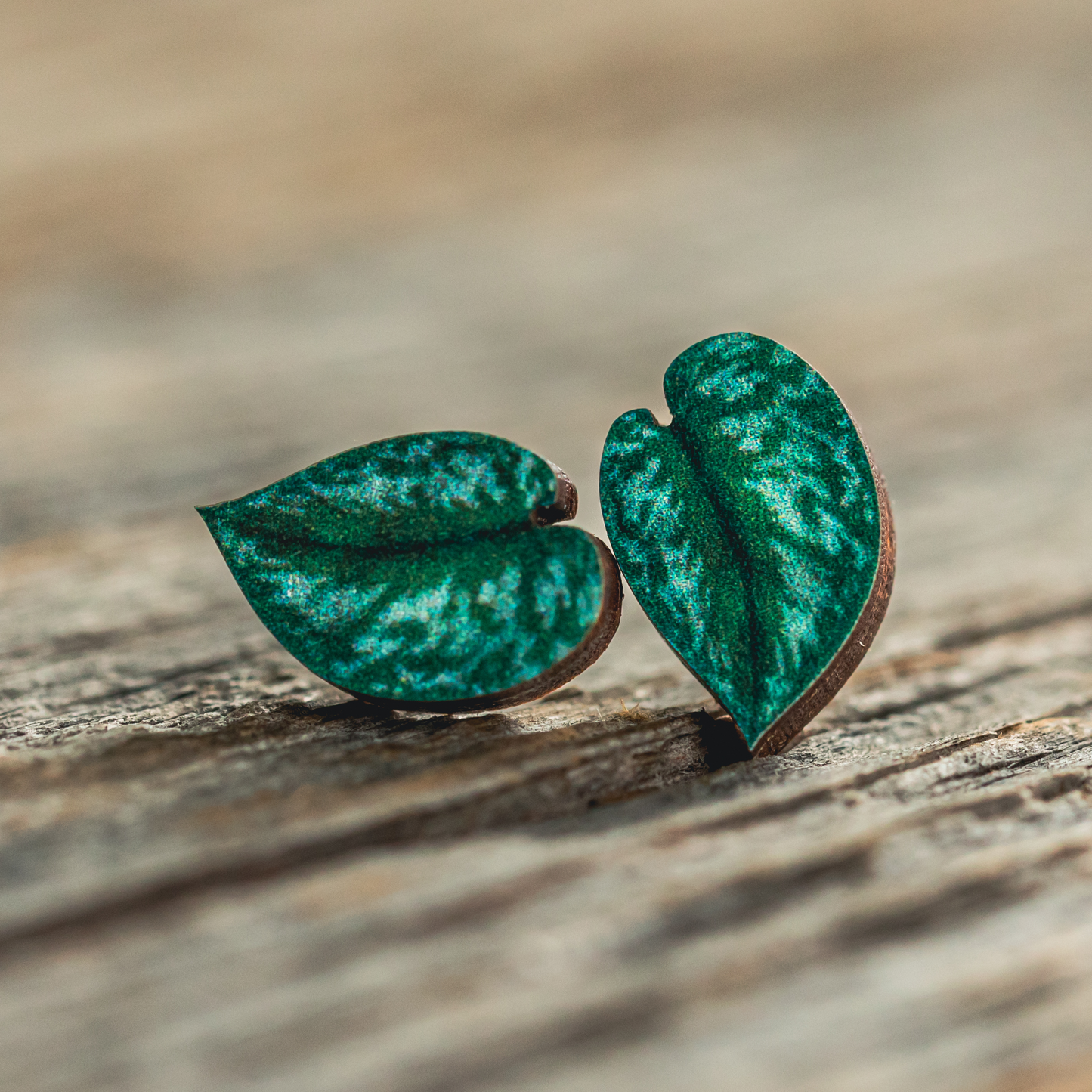 Silver Satin Pothos Stud Earrings
