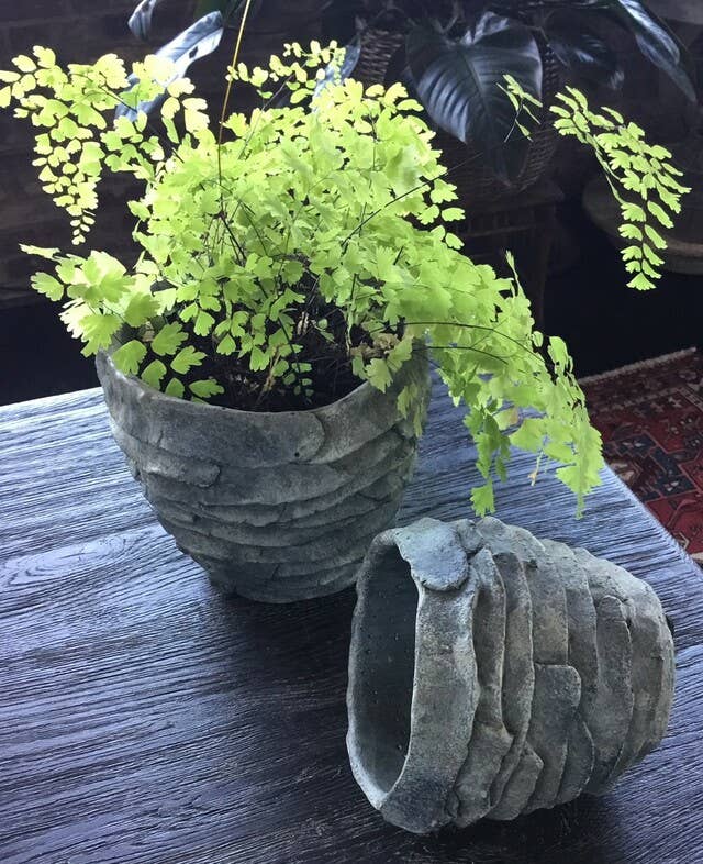 7" Cement Palm Planter