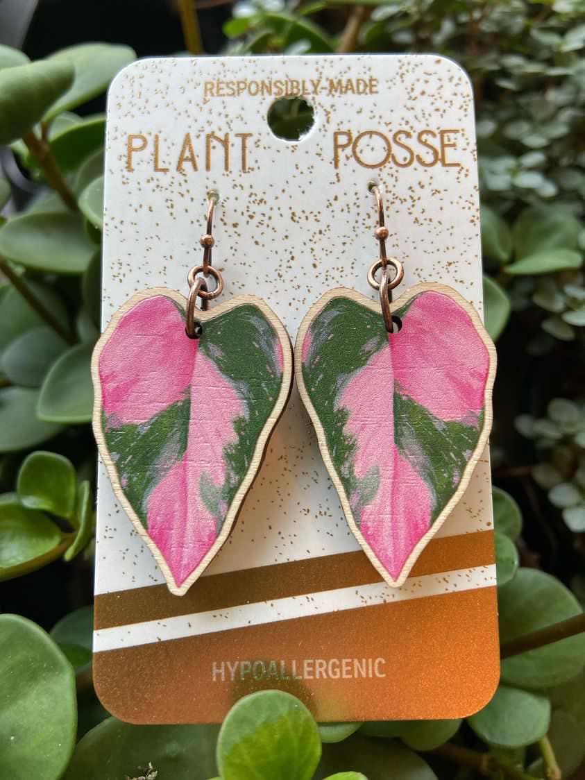 Pink Princess Dangle Earrings