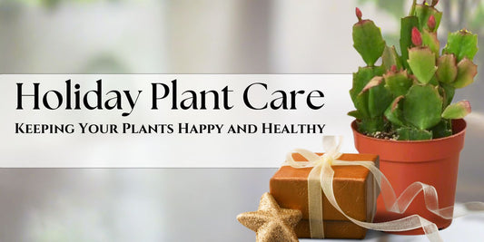 Plant Care for the Holidays: Keeping Your Plants Happy and Healthy