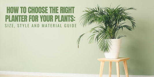 How to Choose the Right Planter for Your Plants: Size, Style, and Material Guide