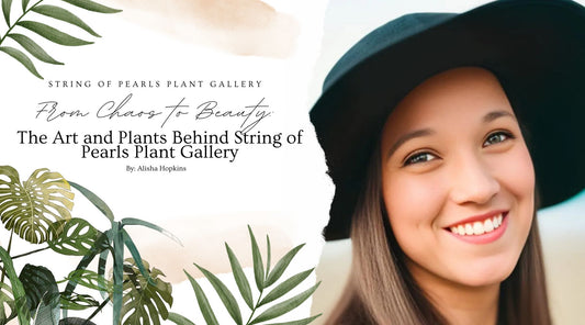 From Chaos to Beauty: The Art and Plants Behind String of Pearls Plant Gallery