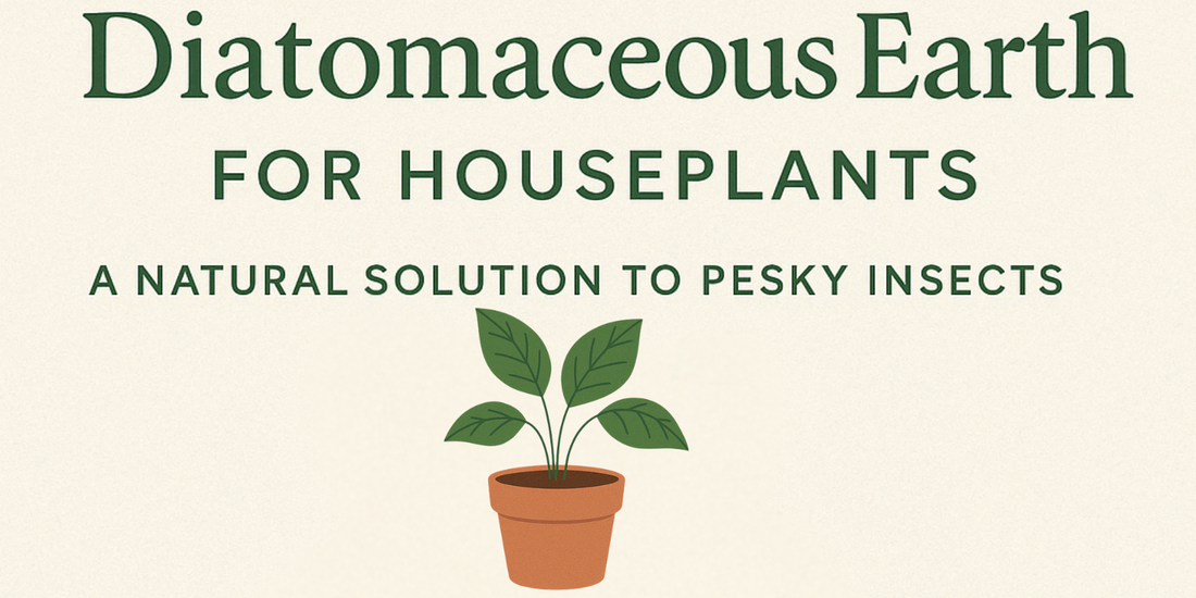 Diatomaceous Earth for Houseplants: A Natural Solution to Pesky Insects