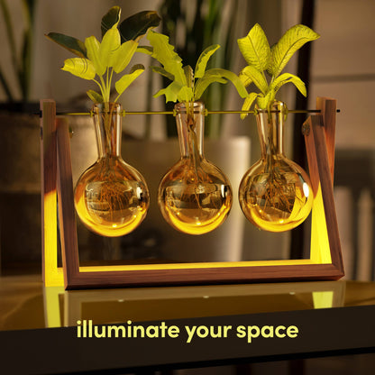 LED Hydroponic Vase Display - 3 Vase Bulbs