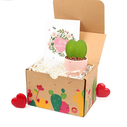 Valentine Gift Box - 1 Hoya Kerrii Heart