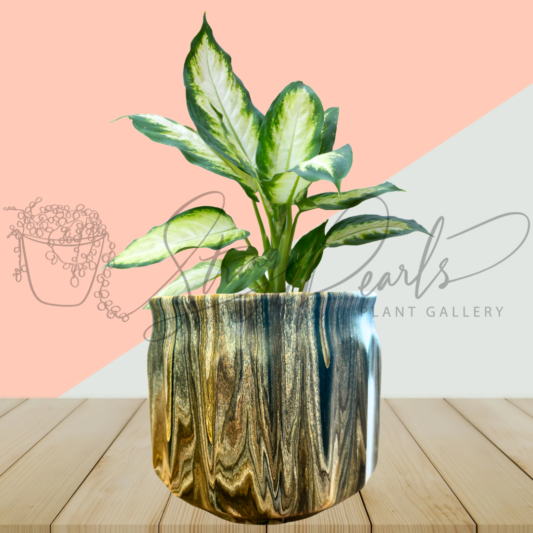 painted 6 inch planter pot created using a fluid art painting technique featuring hues of beige, greens and browns