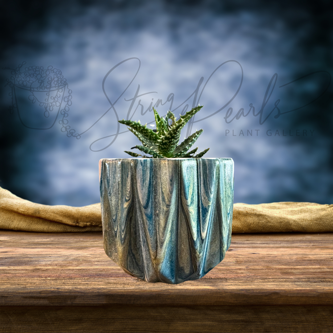 Hand Painted 5-inch Ceramic Plant Pot