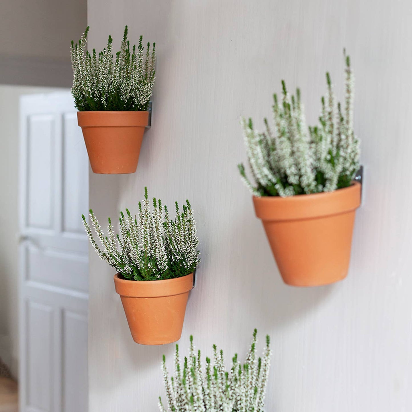 Clippy - Wall mounting kit for 5 plant pots