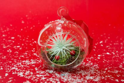 Festive Forest Ornaments with Red Abdita and White Tectorum