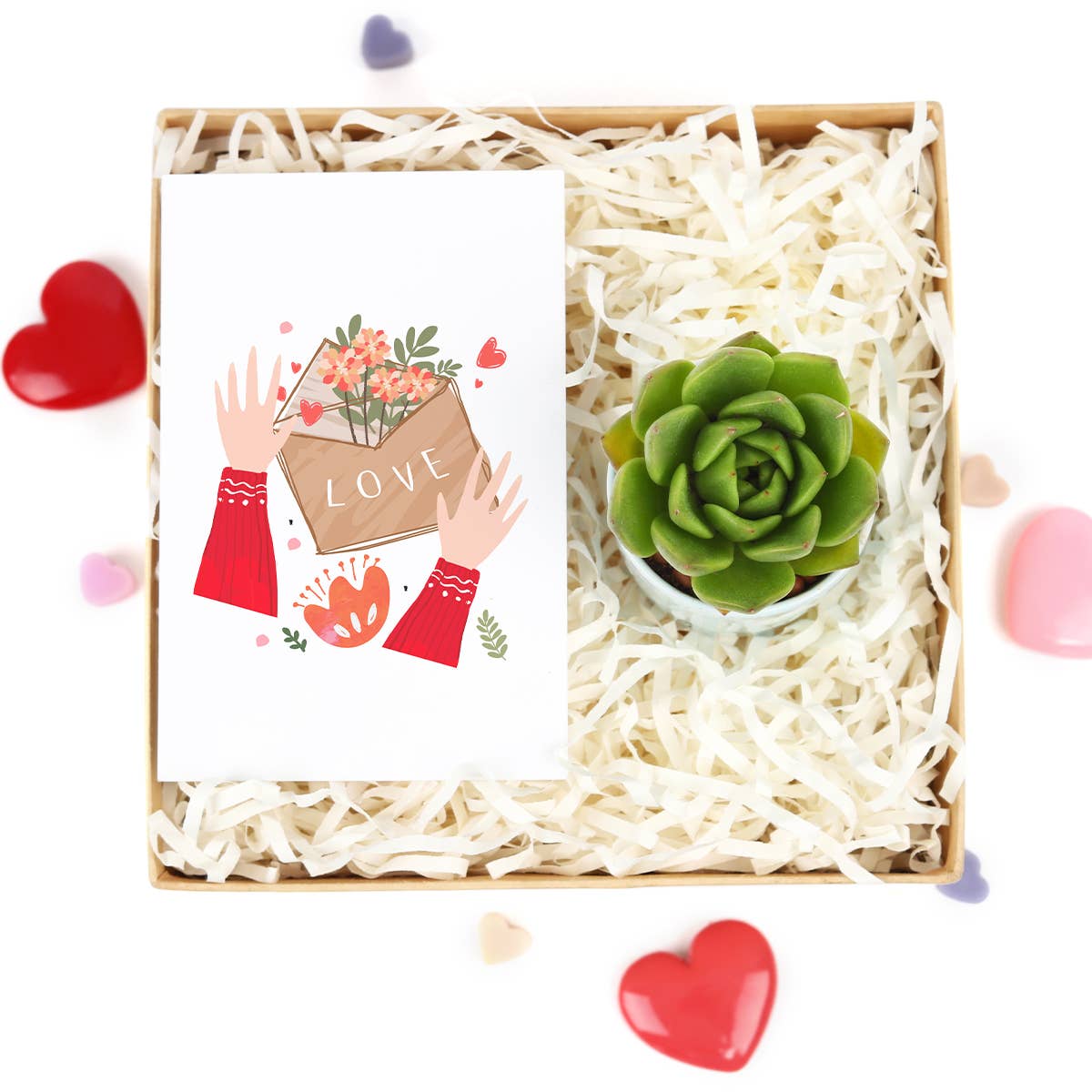 Valentine Gift Box - 1 Succulent