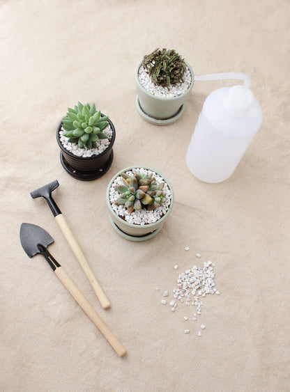 500ml Plastic Squeeze Watering Bottle for Succulent & Cactus