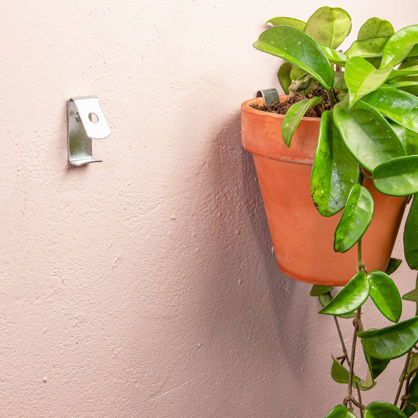 Clippy - Wall mounting kit for 5 plant pots