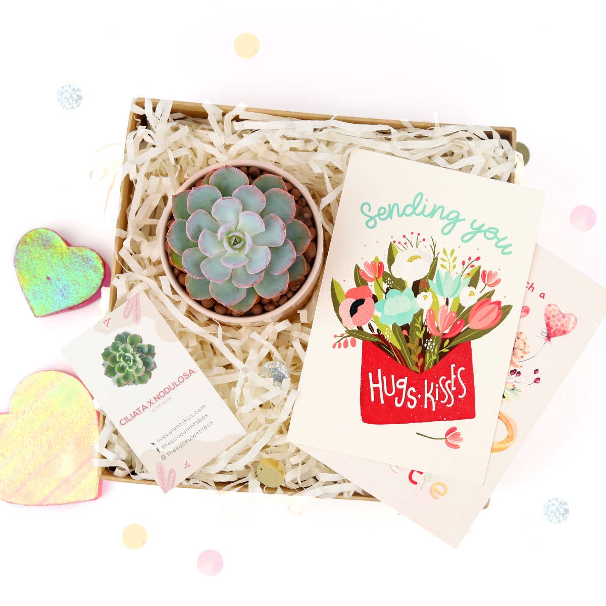 Valentine Gift Box - 1 Succulent