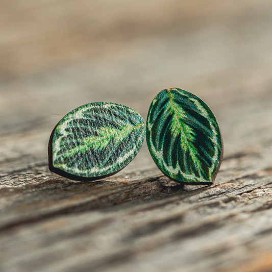 Medallion Prayer Plant Stud Earrings