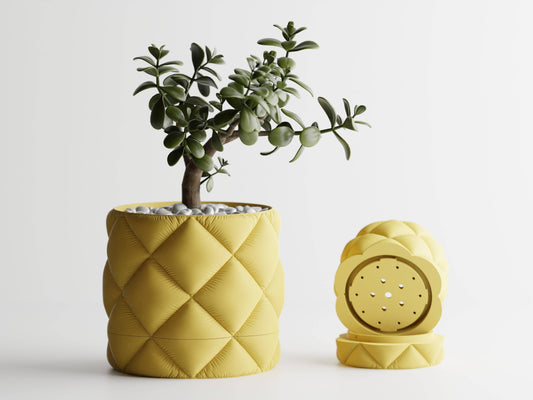 Inflated Planter Container with Drip Tray | Cute Home Decor