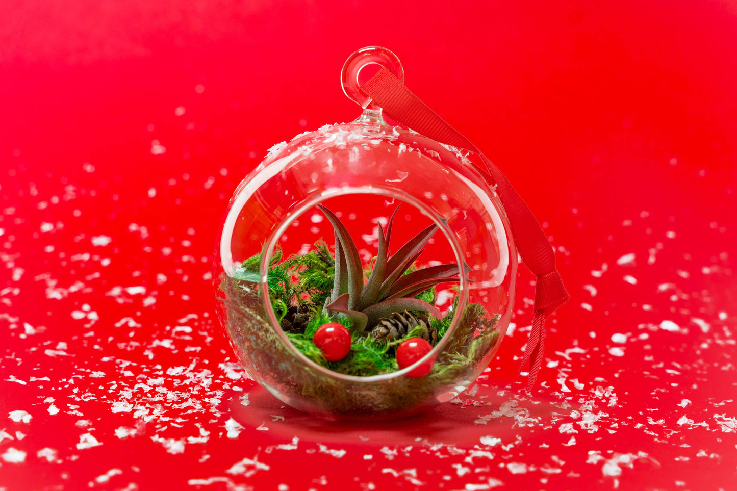 Festive Forest Ornaments with Red Abdita and White Tectorum