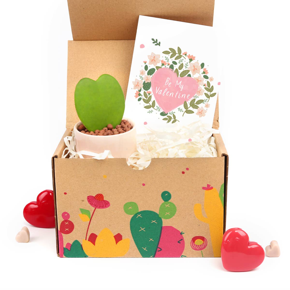 Valentine Gift Box - 1 Hoya Kerrii Heart