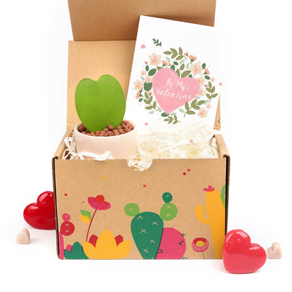 Valentine Gift Box - 1 Hoya Kerrii Heart