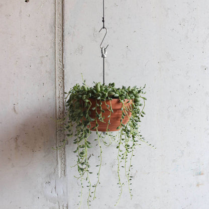 Bolty – Hanging planter system for plant pots