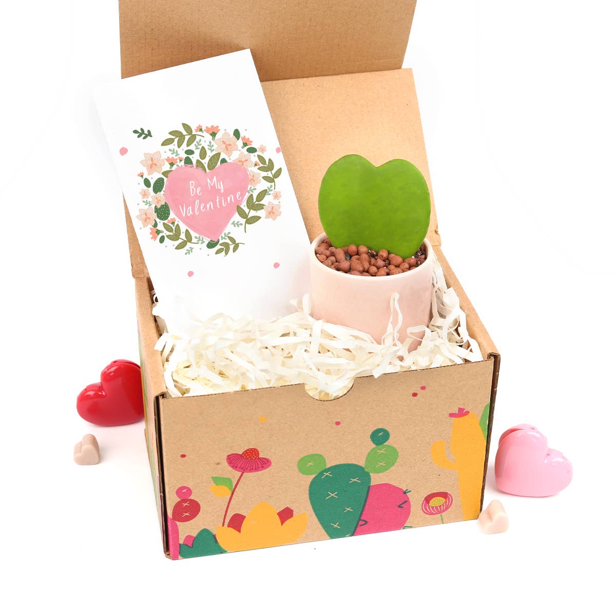 Valentine Gift Box - 1 Hoya Kerrii Heart