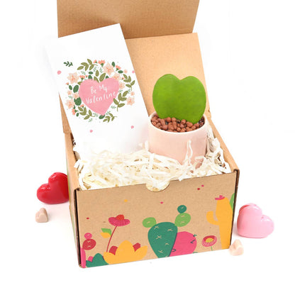 Valentine Gift Box - 1 Hoya Kerrii Heart