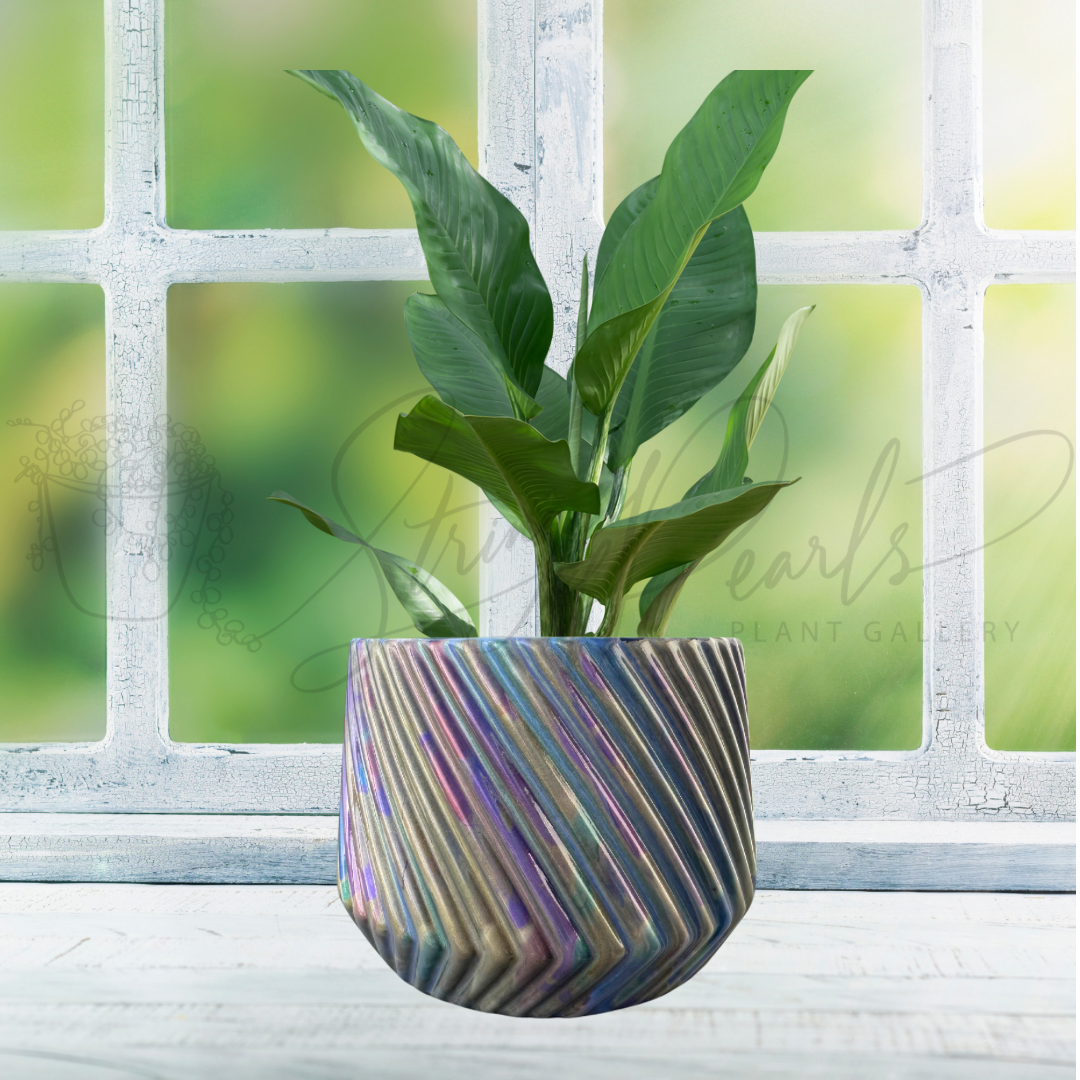 6 inch ceramic planter - ceramic planter painted in metallic colors - decorative planter