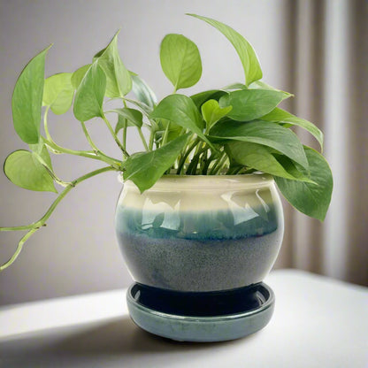 6" Dark Blue Ceramic Pot with Cream Rim & Attached Saucer