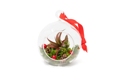 Festive Forest Ornaments with Red Abdita and White Tectorum