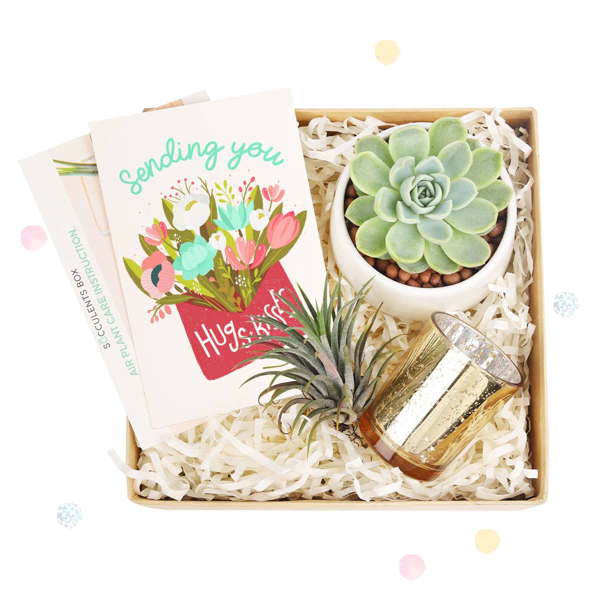 Valentine Gift Box - Succulent And Airplant