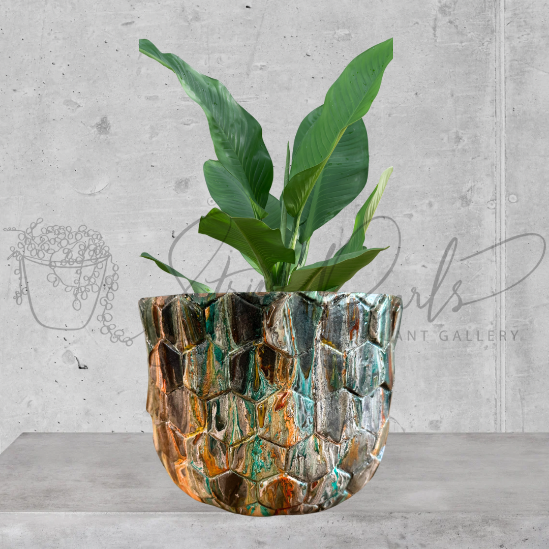 8 inch stone planter - stone planter painted in earthy tones - decorative planter