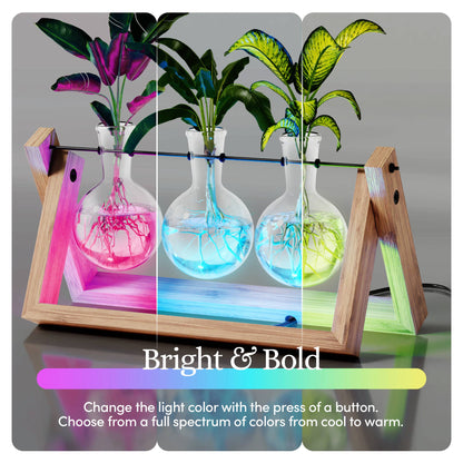 LED Hydroponic Vase Display - 3 Vase Bulbs