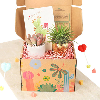 Valentine Gift Box - Succulent And Airplant