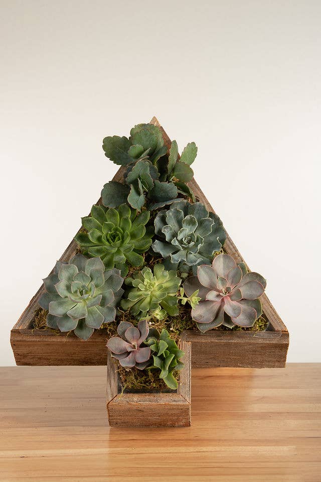 Rustic Reclaimed Wood Tree Planter / Tray / Decor