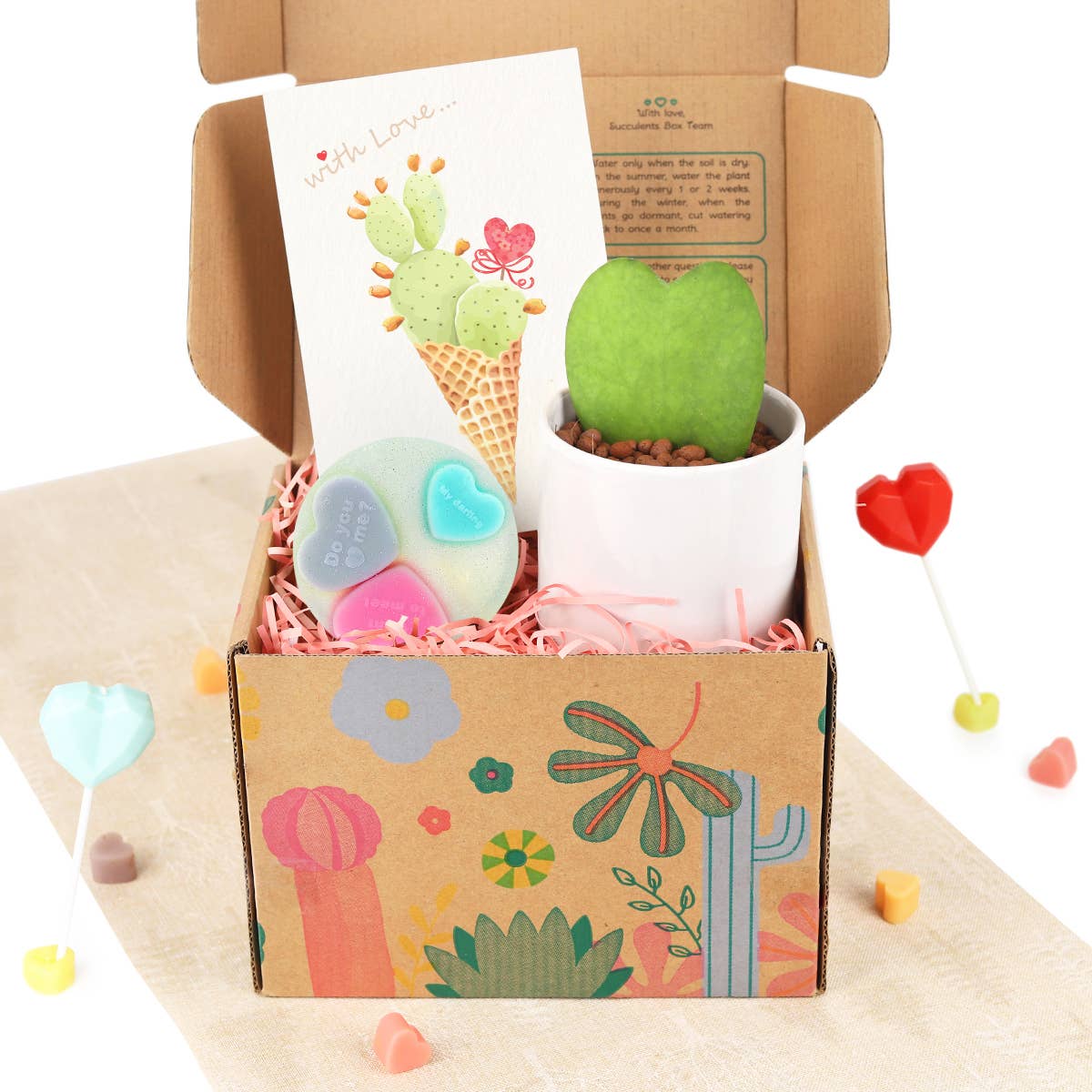 Valentine Gift Box - Houseplant and Soap