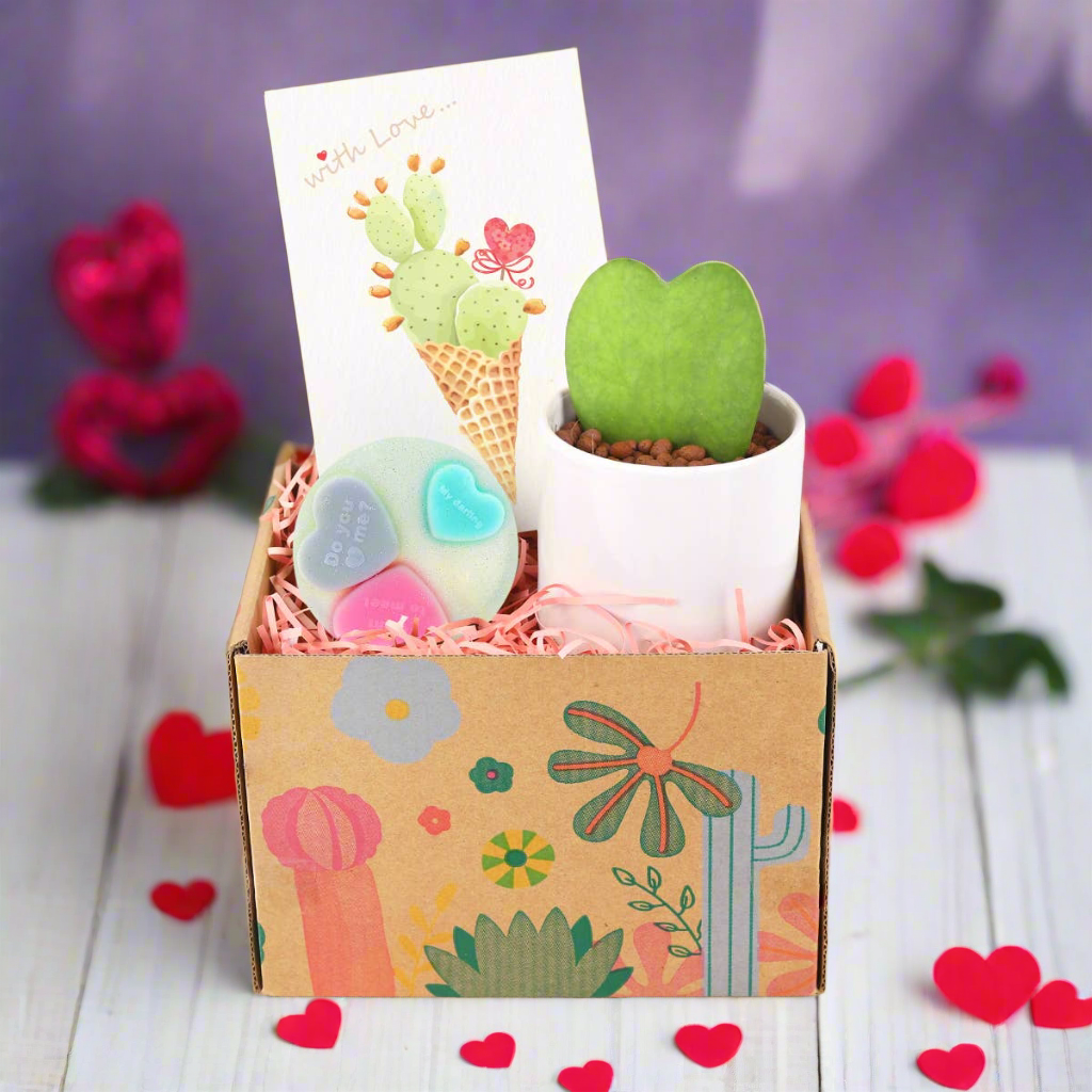 Valentine Gift Box - Houseplant and Soap