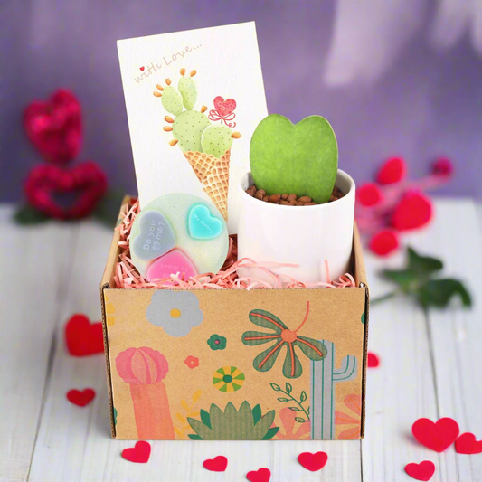 Valentine Gift Box - Houseplant and Soap