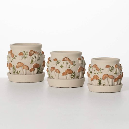 Organic Mushroom Planter