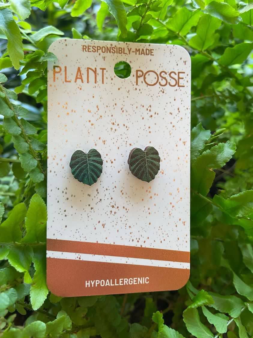Monstera Stud Earrings
