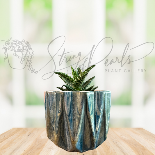 Hand Painted 5-inch Ceramic Plant Pot