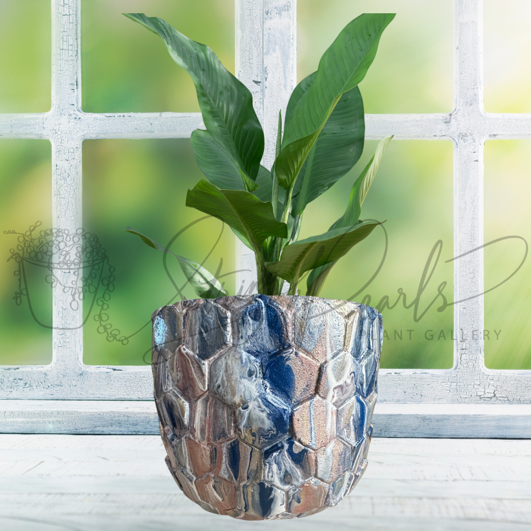 6 inch stone planter - stone planter painted in metallic blue pink and white - decorative planter