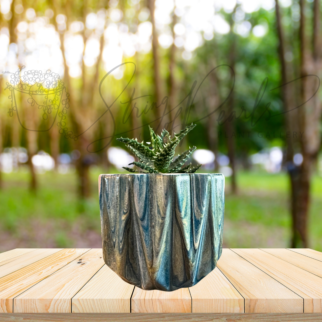 Hand Painted 5-inch Ceramic Plant Pot