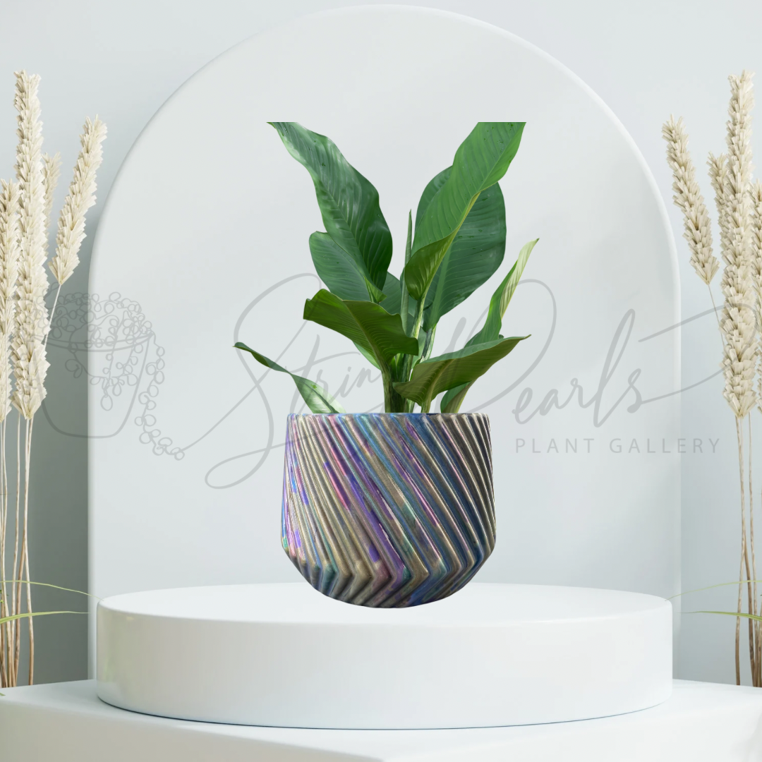 6 inch ceramic planter - ceramic planter painted in metallic colors - decorative planter