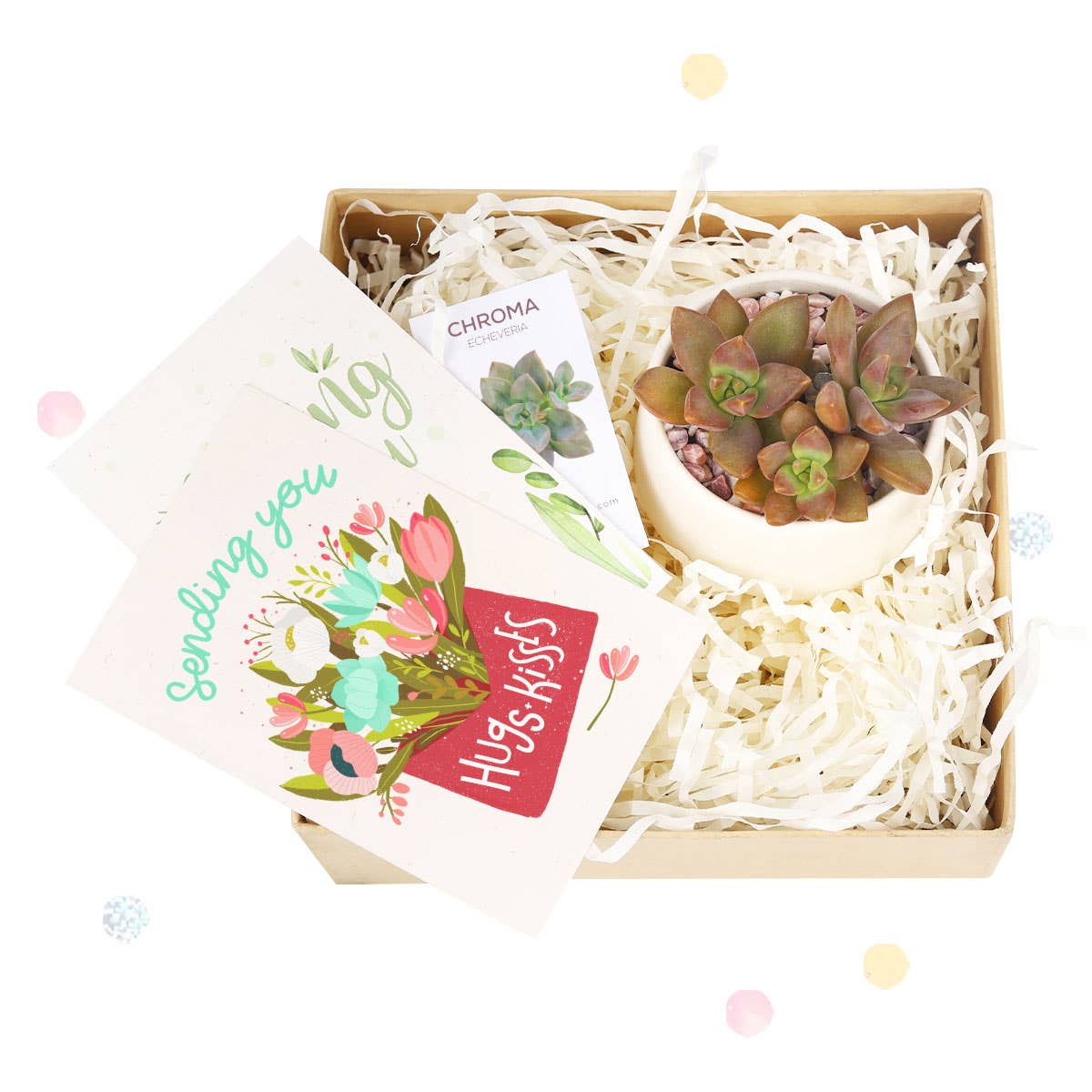 Valentine Gift Box - 1 Succulent